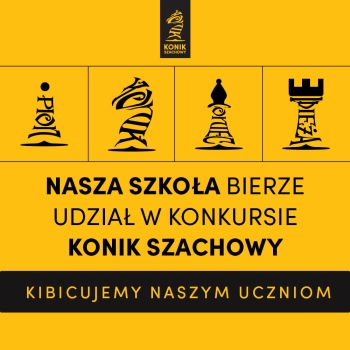 konik-szachowy-kategorie