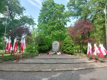ignacy salomoński