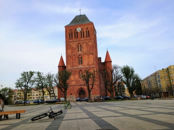 mikołaj przytuła