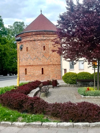 mikołaj świtała.jpeg