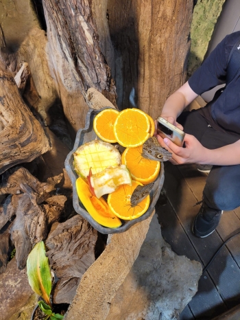 8ea23746-e527-4575-b3f1-d83061c62ee3.jpeg