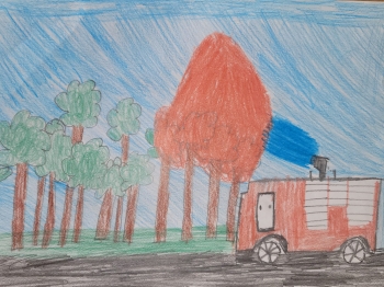 IMG-20250527-WA0086