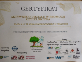 Zdjęcie WhatsApp 2025-06-10 o 16.32.40_2896587e