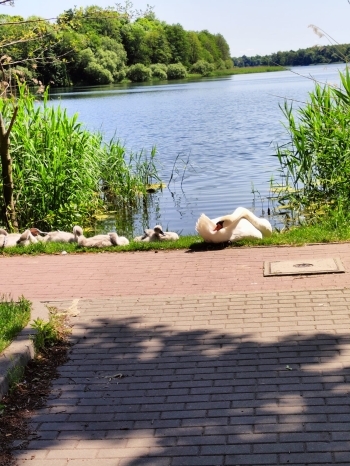 IMG-20250614-WA0017