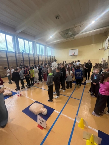 Zdjęcie WhatsApp 2025-10-16 o 13.07.25_cc5b105c