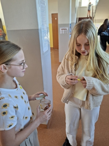 99e49db7-432e-497b-b9d1-aa05f86869dc