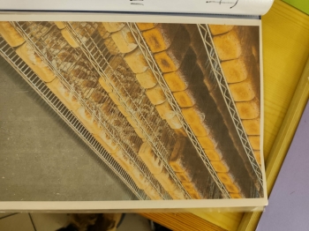 d0df77b9-10d3-46ec-bb58-a5b2a2fbd6bd