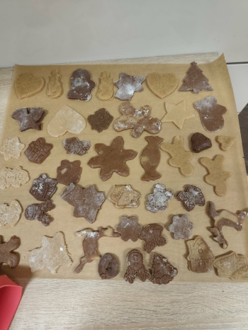 0f30e9ea-bbfc-4541-ad16-cdb0973310f4