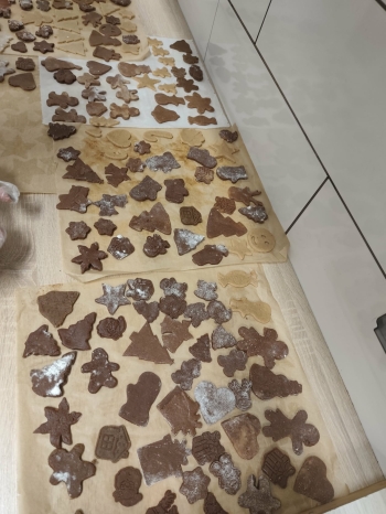 366a41ad-d132-4773-a4d2-4ea38a481ac8