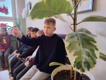 WhatsApp Image 2026-01-08 at 11.34.20 (1).jpeg