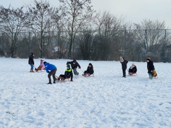 WhatsApp Image 2026-01-09 at 09.35.06.jpeg