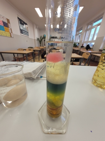 WhatsApp Image 2026-02-12 at 15.08.26.jpeg