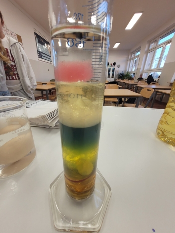 WhatsApp Image 2026-02-12 at 15.08.25 (4).jpeg