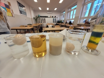 WhatsApp Image 2026-02-12 at 15.08.25 (1).jpeg