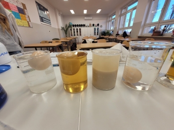 WhatsApp Image 2026-02-12 at 15.08.25.jpeg