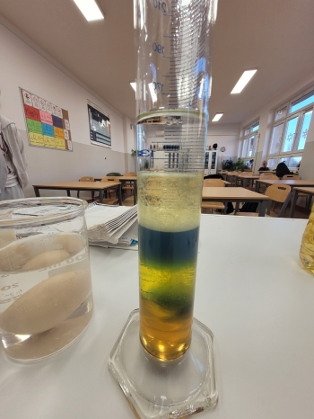 WhatsApp Image 2026-02-12 at 15.08.24 (2).jpeg