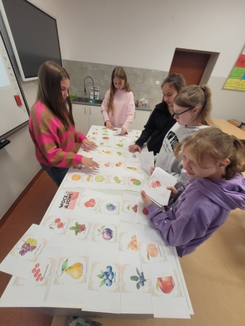 WhatsApp Image 2026-02-12 at 15.08.23 (3).jpeg