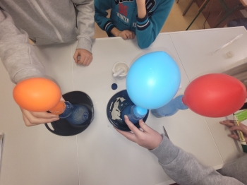 WhatsApp Image 2026-02-12 at 15.08.23 (1).jpeg