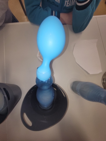 WhatsApp Image 2026-02-12 at 15.08.22 (2).jpeg