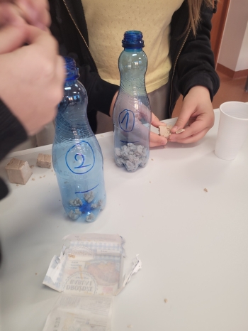 WhatsApp Image 2026-02-12 at 15.08.21 (2).jpeg