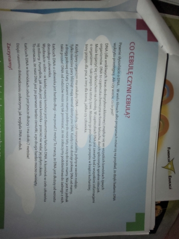 WhatsApp Image 2026-02-12 at 15.08.21.jpeg