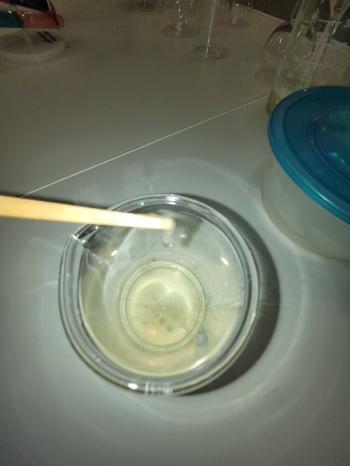 WhatsApp Image 2026-02-12 at 15.08.20 (3).jpeg