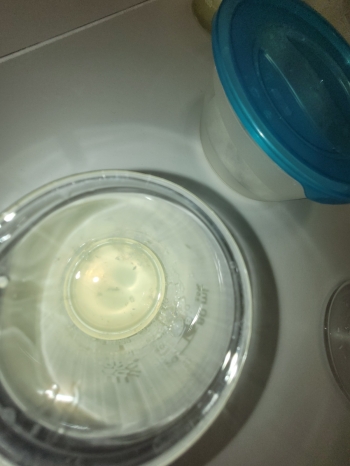 WhatsApp Image 2026-02-12 at 15.08.20 (2).jpeg