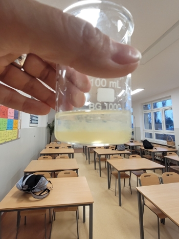 WhatsApp Image 2026-02-12 at 15.08.19 (3).jpeg