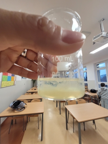 WhatsApp Image 2026-02-12 at 15.08.19 (2).jpeg