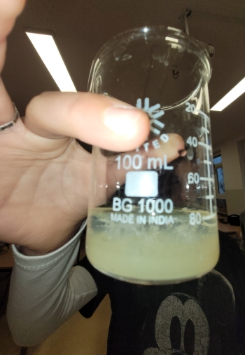 WhatsApp Image 2026-02-12 at 15.08.19 (1).jpeg