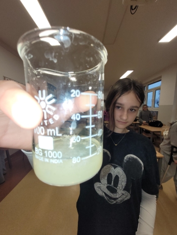 WhatsApp Image 2026-02-12 at 15.08.19.jpeg