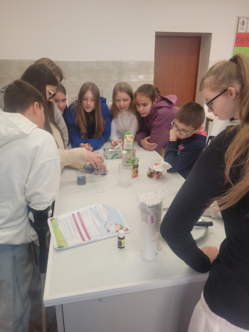 WhatsApp Image 2026-02-12 at 15.08.18.jpeg