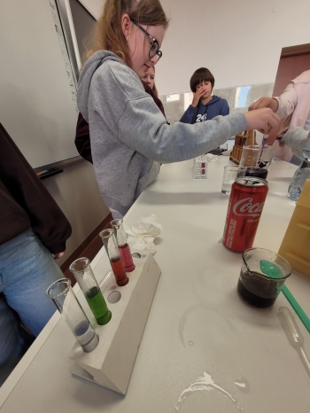 WhatsApp Image 2026-02-12 at 15.08.17 (4).jpeg