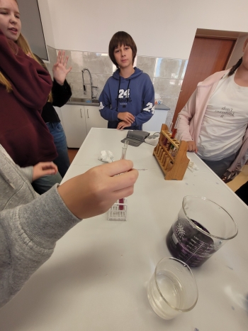 WhatsApp Image 2026-02-12 at 15.08.17 (2).jpeg