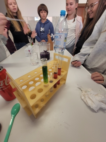 WhatsApp Image 2026-02-12 at 15.08.17 (1).jpeg