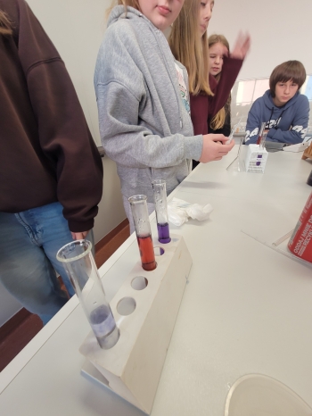 WhatsApp Image 2026-02-12 at 15.08.17.jpeg