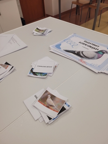 WhatsApp Image 2026-02-12 at 15.08.16 (1).jpeg