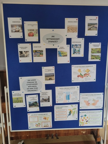 WhatsApp Image 2026-02-12 at 15.08.15 (1).jpeg