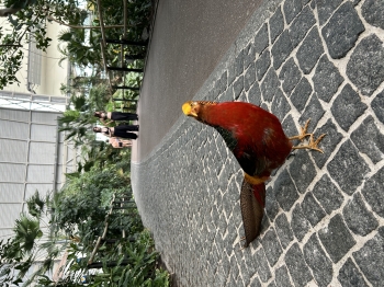 IMG_1008.jpeg